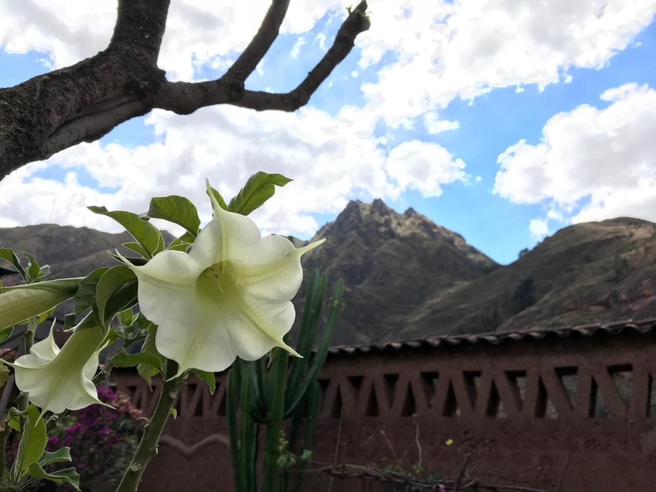 Pisac Inca Guest House Exteriér fotografie